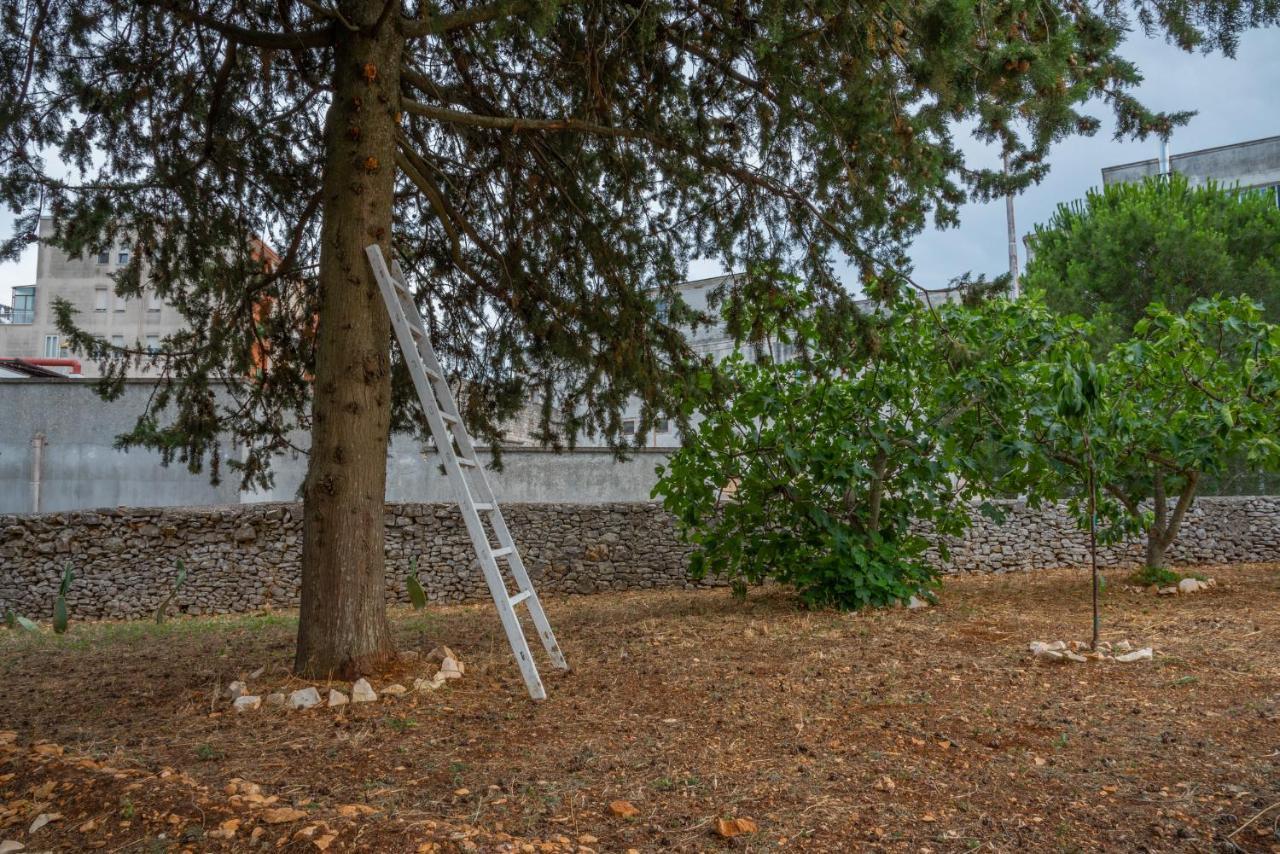 Trulli Dimora Palmisano Apartment Locorotondo Bagian luar foto